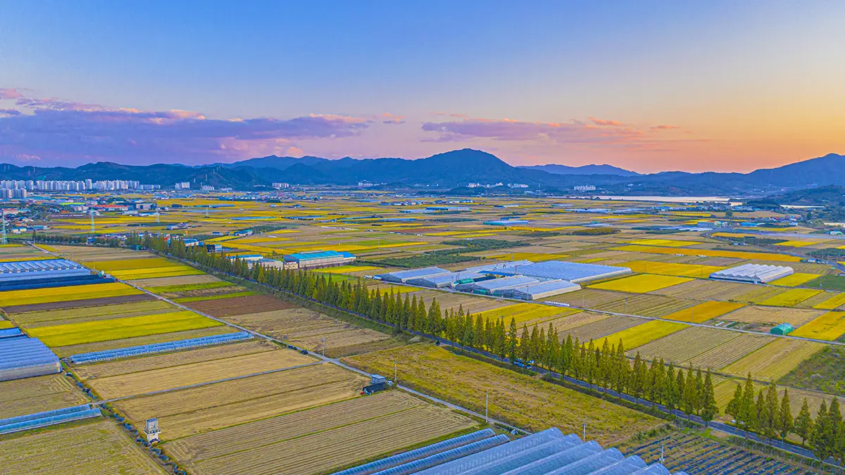 죽동마을 항공사진 죽동마을 항공사진