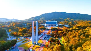 독립기념관 단풍나무숲길