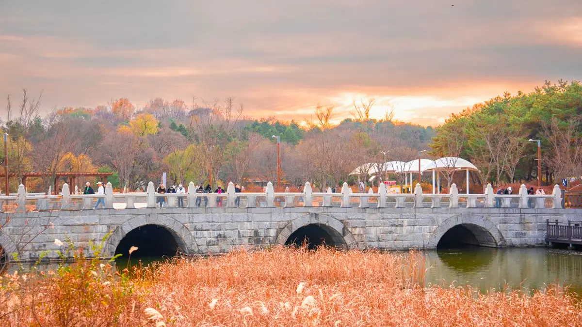 독립기념관 억새