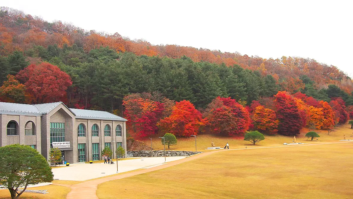 청남대 단풍 풍경 청남대 단풍 풍경