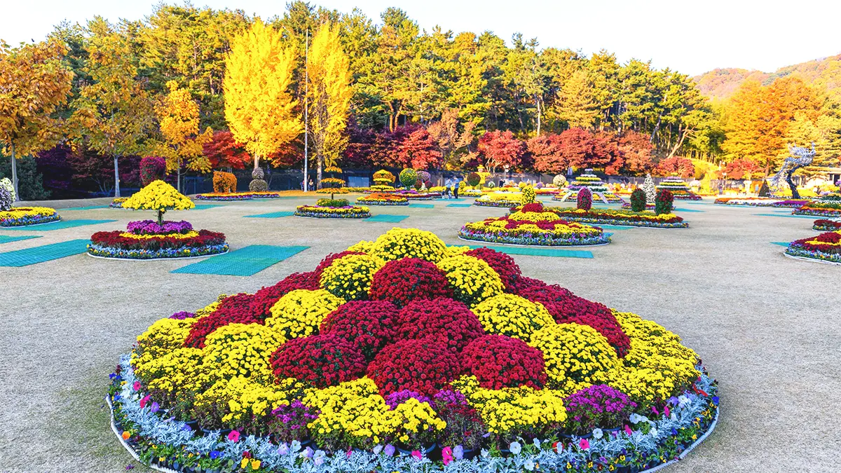 청남대 가을축제 풍경 청남대 가을축제 풍경
