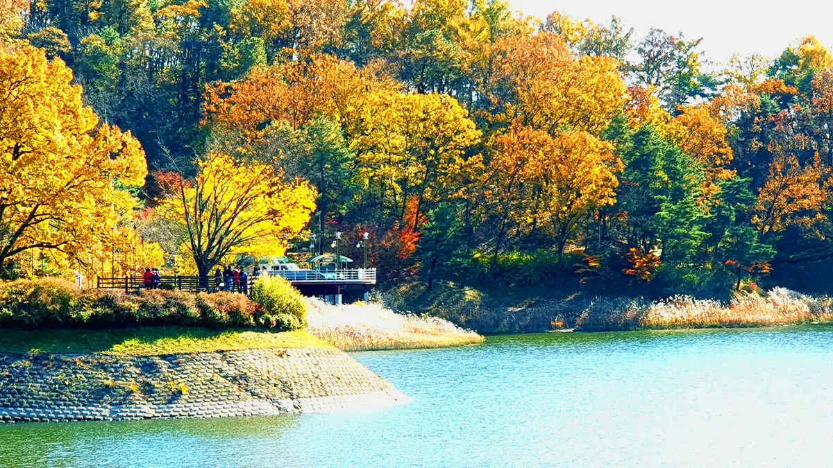 청남대 대청호 청남대 대청호