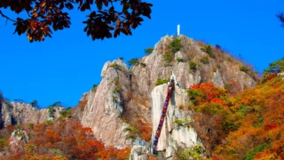 대둔산 계단 항공샷