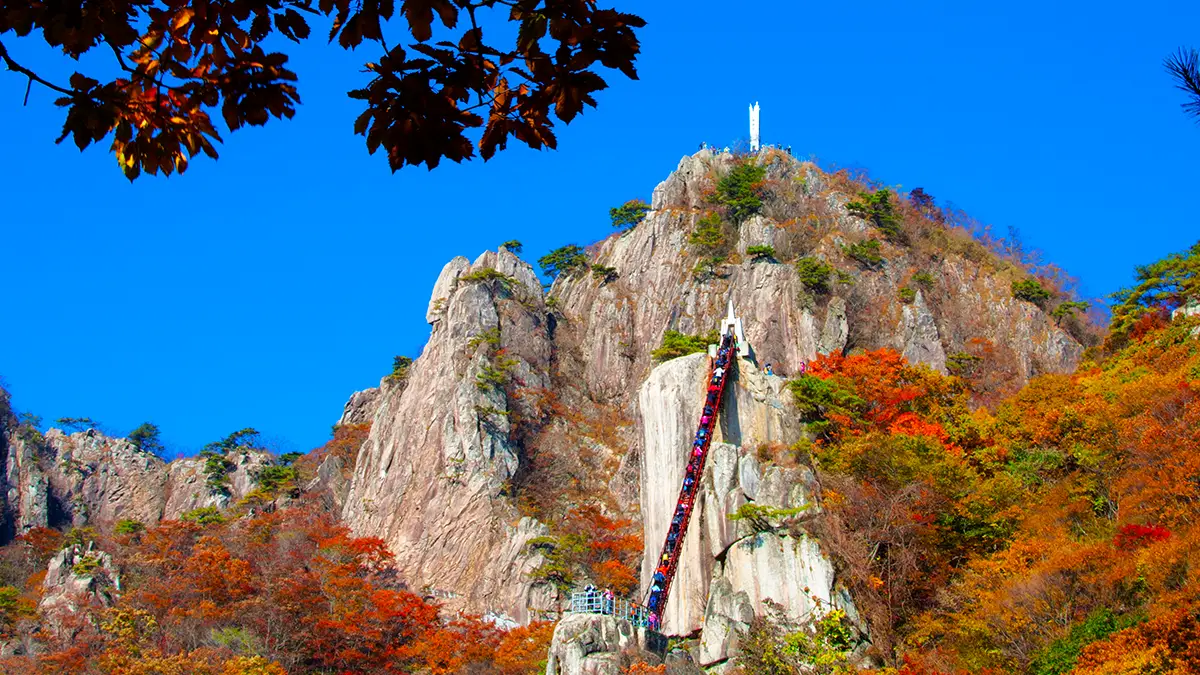 대둔산 계단 항공샷