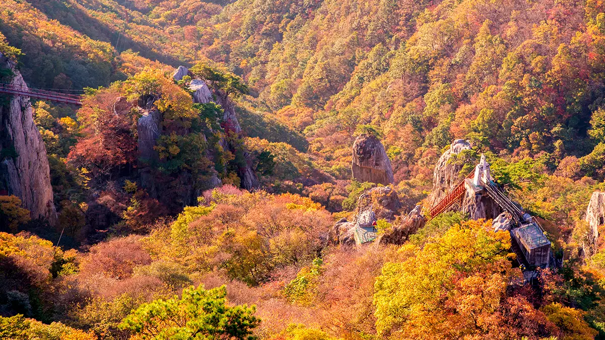 대둔산도립공원 가을 대둔산도립공원 가을