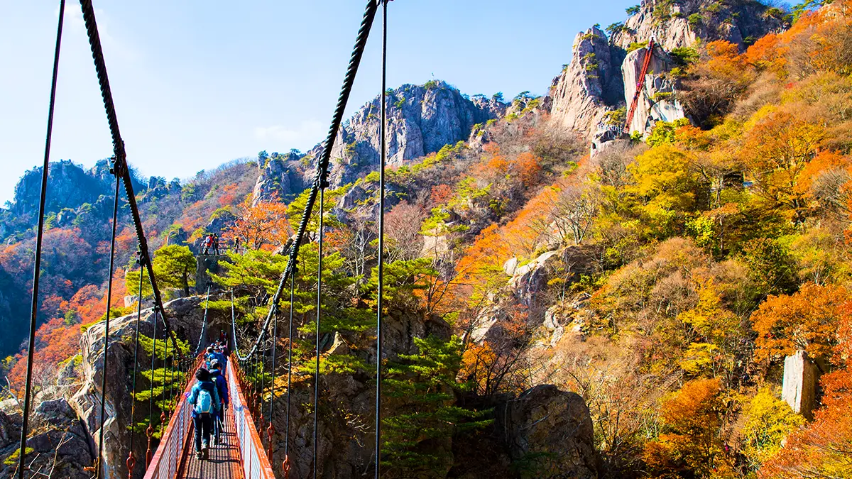 대둔산도립공원 금강구름다리 대둔산도립공원 금강구름다리