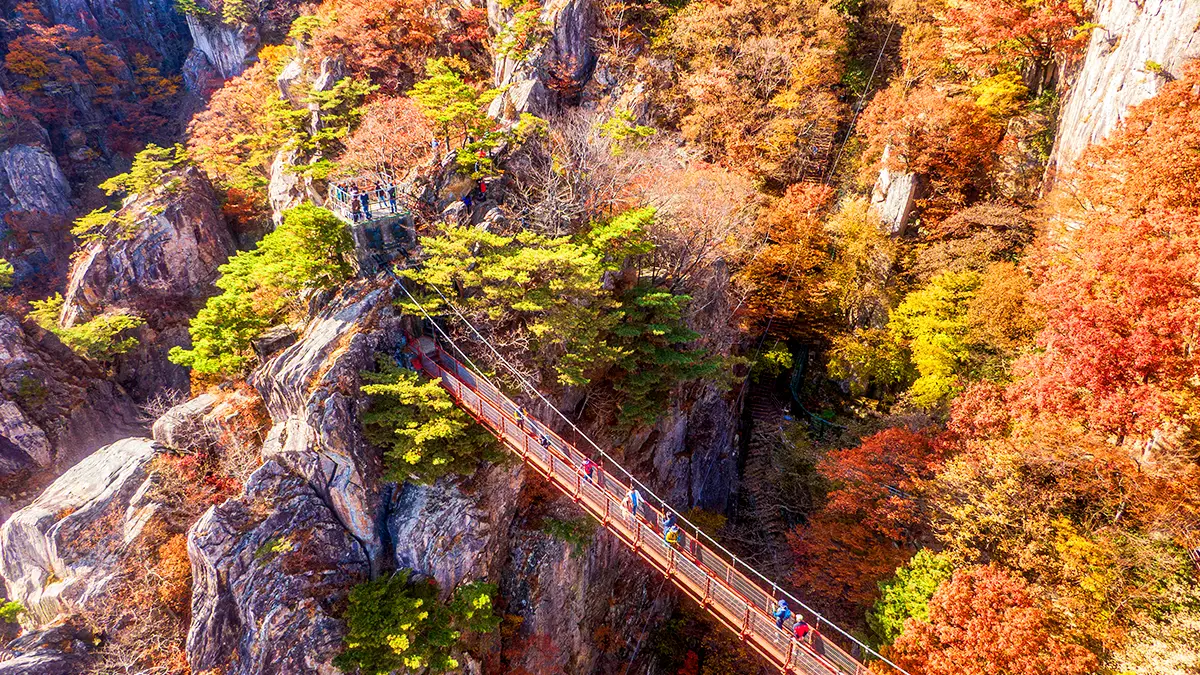 대둔산 구름다리 대둔산 구름다리