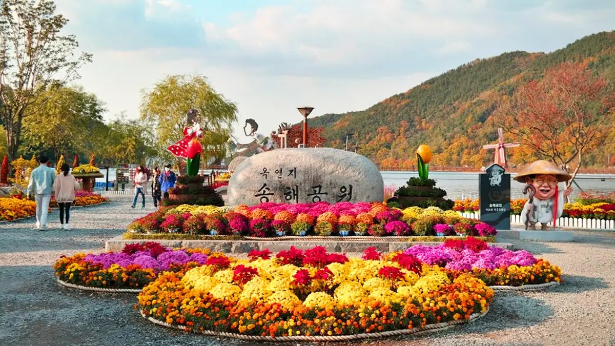 송해공원 국화