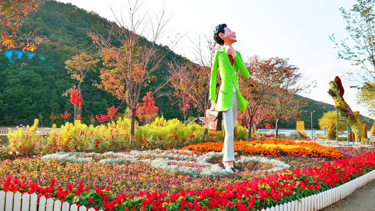 송해공원 가을꽃