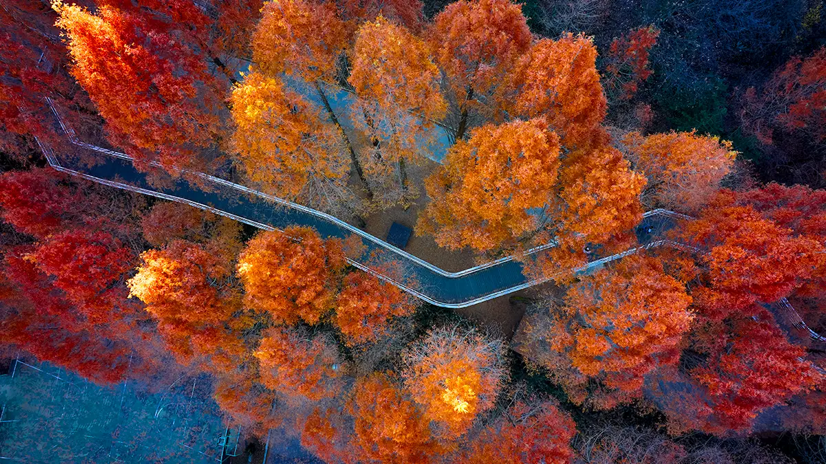 장태산 자연휴양림