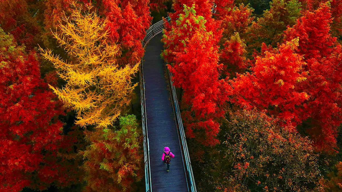 장태산 자연휴양림 산책로