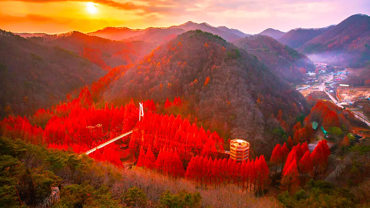 장태산 자연휴양림 가을 항공샷