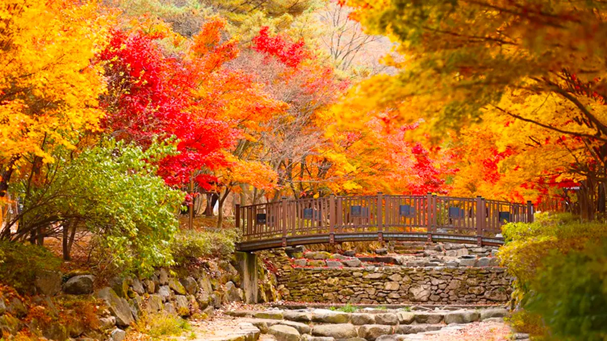 상소동 산림욕장