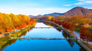 관방제림 가을 전경