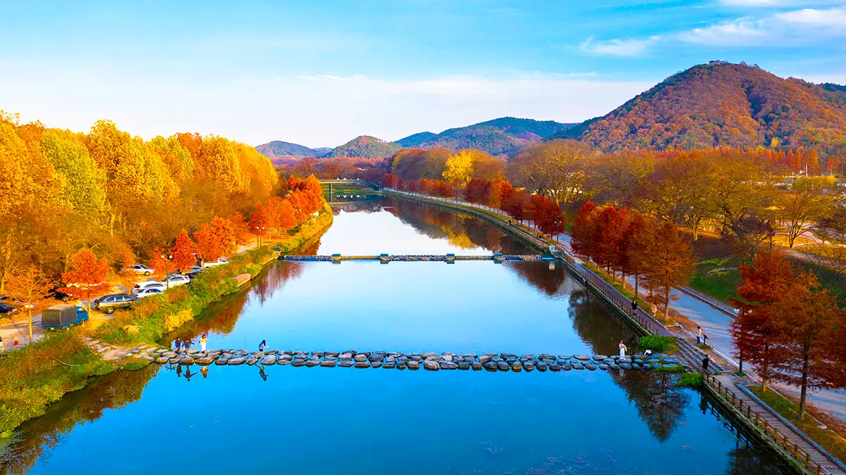 관방제림 가을 전경 관방제림 가을 전경