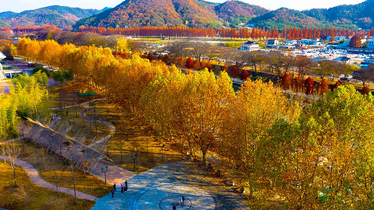 관방제림 가을 명소 관방제림 가을 명소