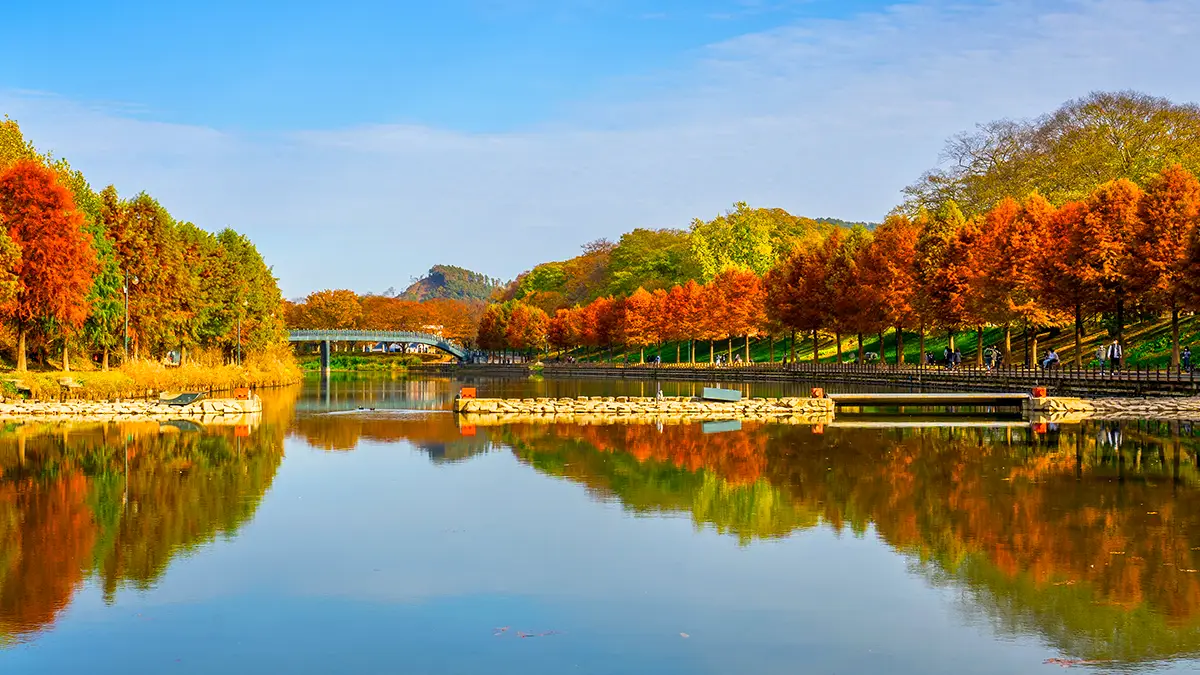 관방제림 전경 관방제림 전경