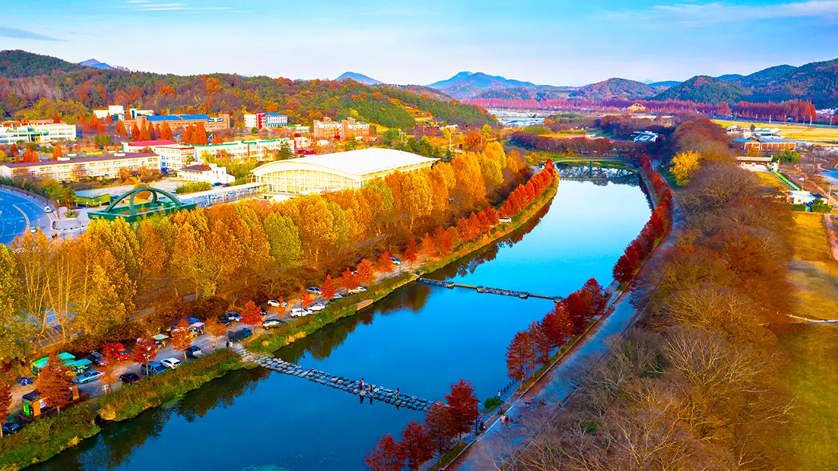 관방제림 항공샷 관방제림 항공샷