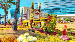 당진국화전시회