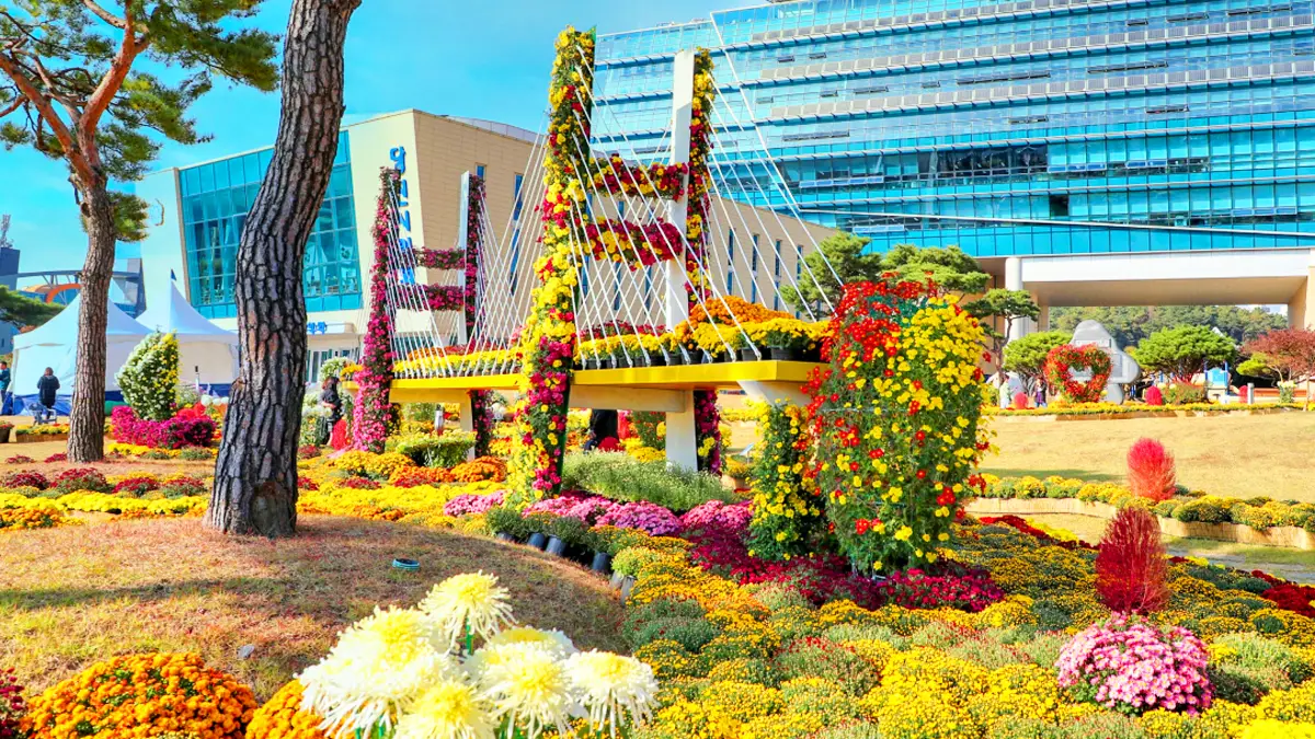 당진국화전시회