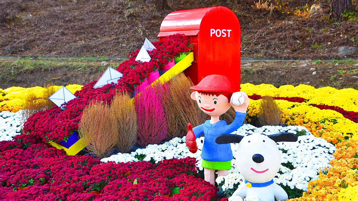 삼선산수목원 국화 삼선산수목원 국화