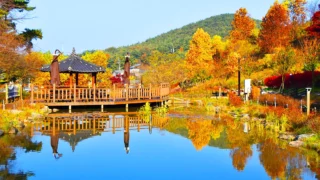 당진 삼선산수목원 단풍