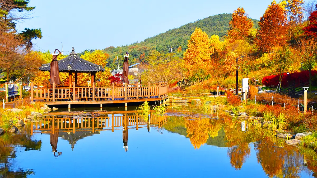 당진 삼선산수목원 단풍