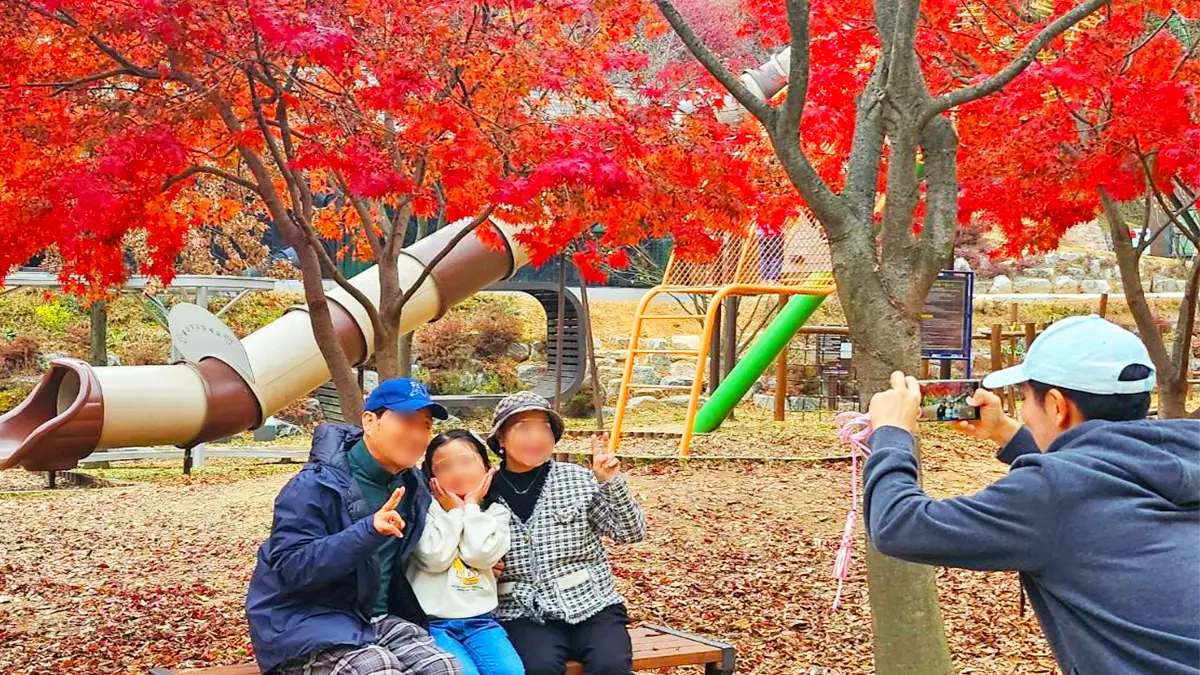 삼선산수목원 단풍나무 삼선산수목원 단풍나무