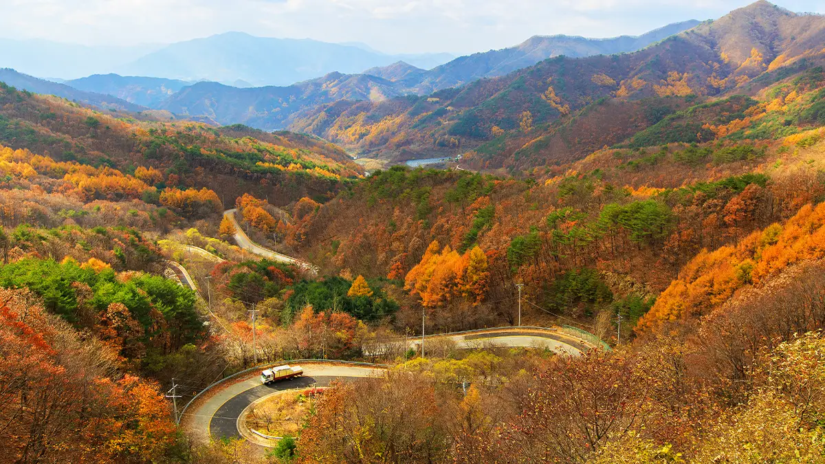 도마령 풍경 도마령 풍경