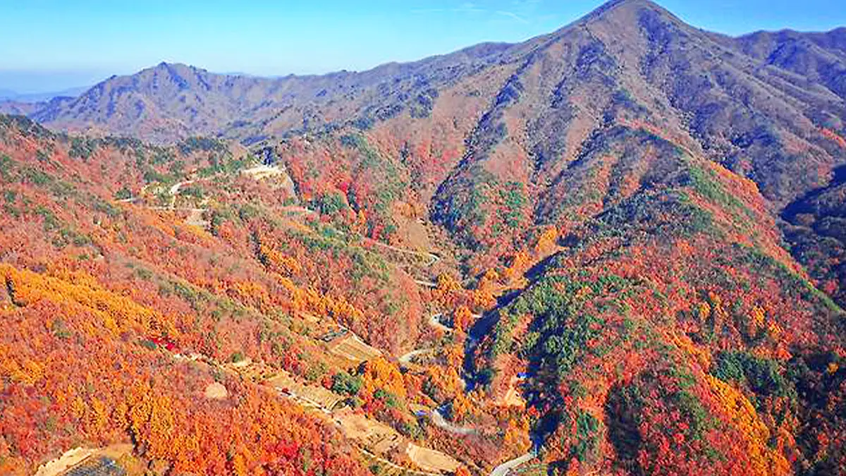 도마령 가을 풍경 도마령 가을 풍경