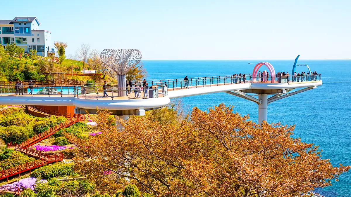 도째비골 스카이밸리 단풍 도째비골 스카이밸리 단풍