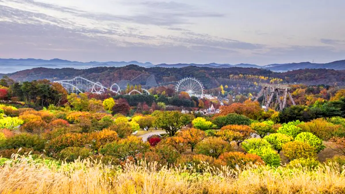 에버랜드 하늘정원길 에버랜드 하늘정원길