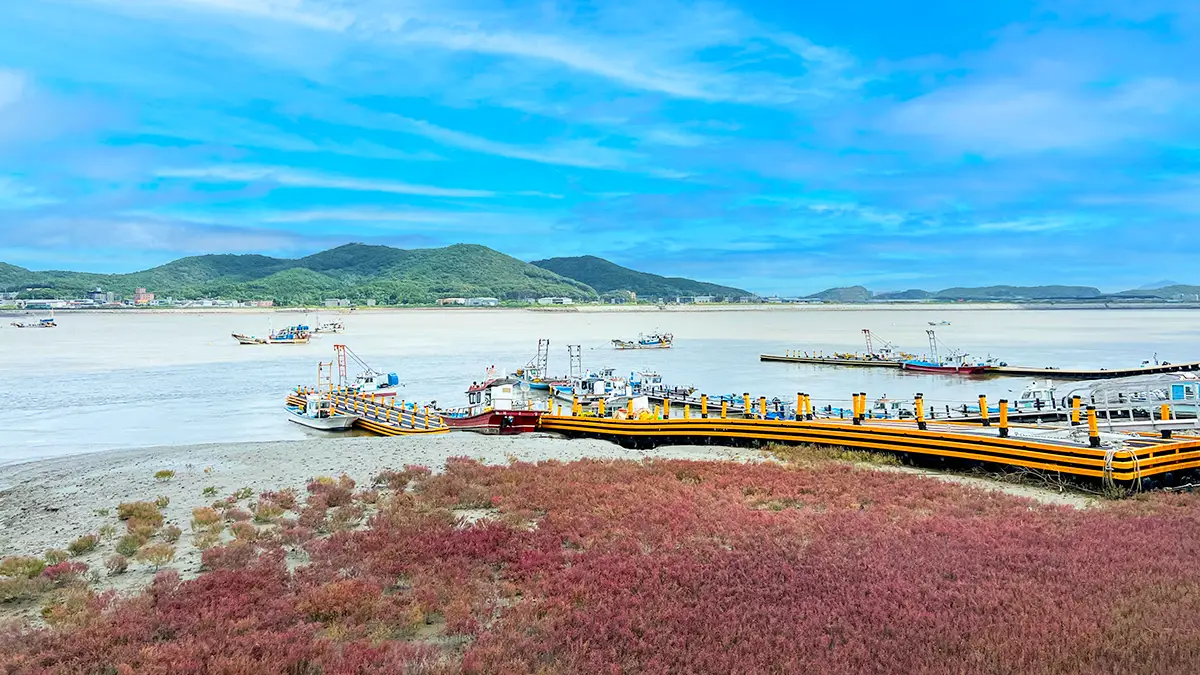 강화나들길 8코스