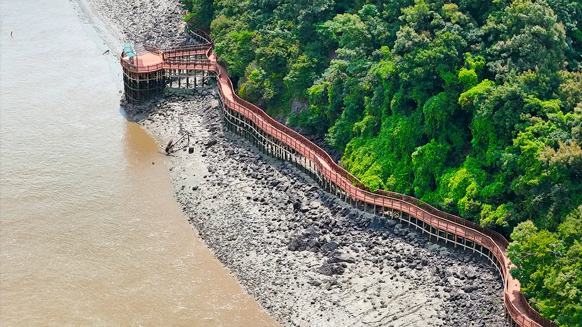 황산도 데크길 전경