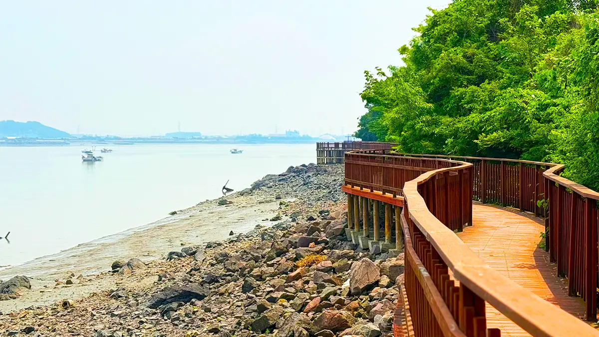 황산도 해안탐방로 모습 황산도 해안탐방로 모습