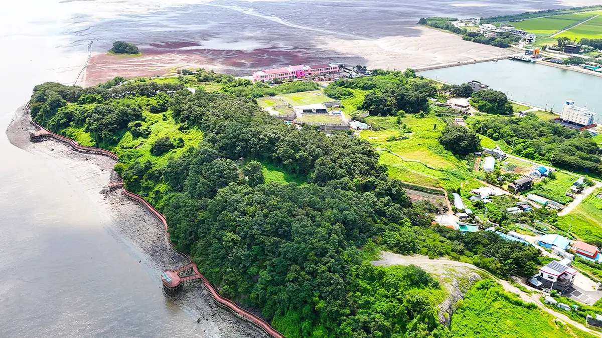 황산도 해안탐방로 전경 황산도 해안탐방로 전경