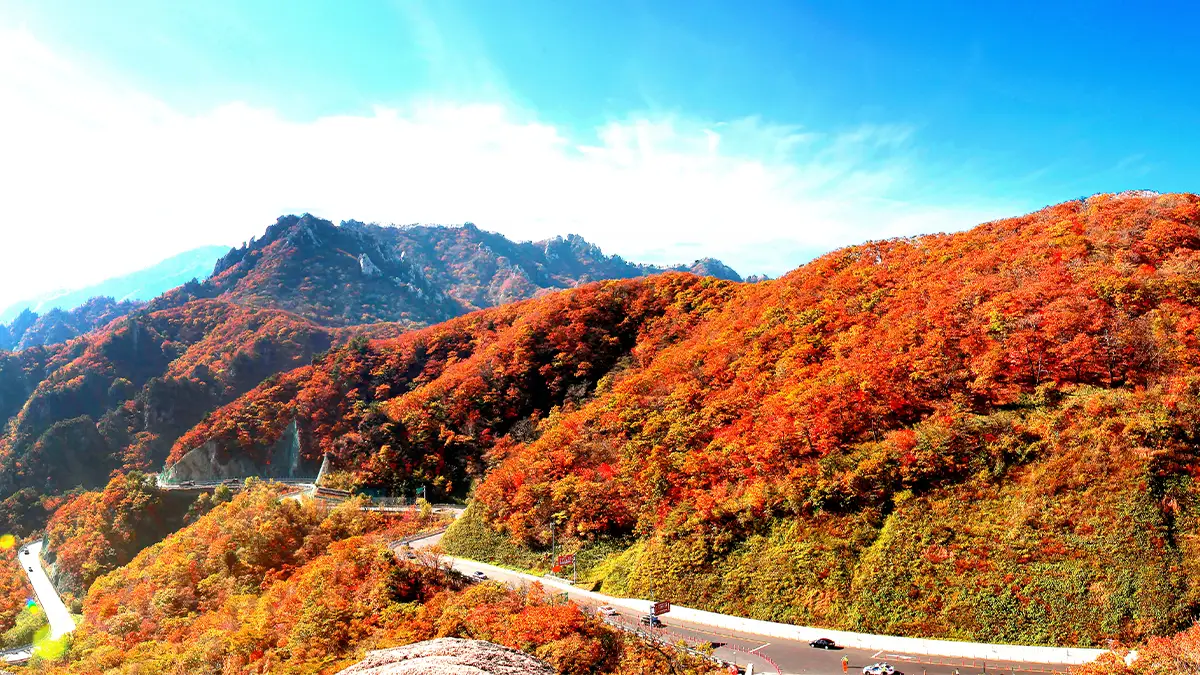 강원도 한계령 드라이브