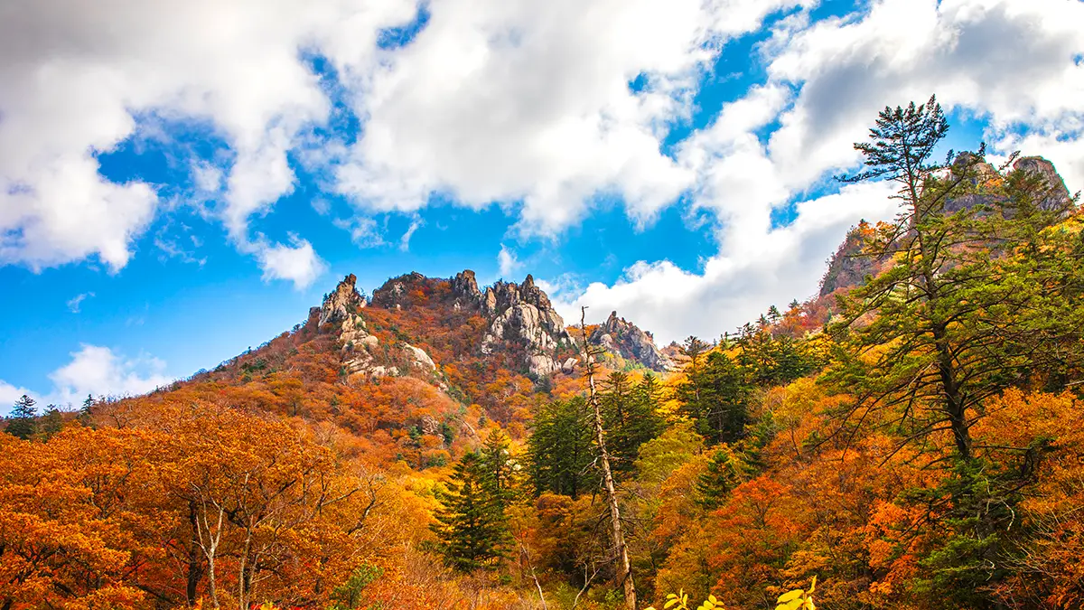 설악산 가을 풍경 설악산 가을 풍경