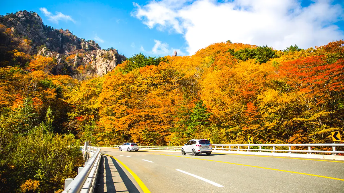 한계령 드라이브 한계령 드라이브