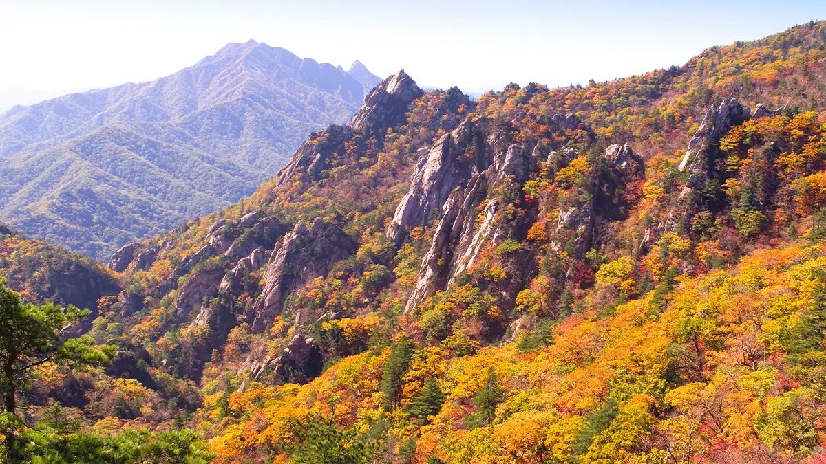 설악산 단풍 설악산 단풍