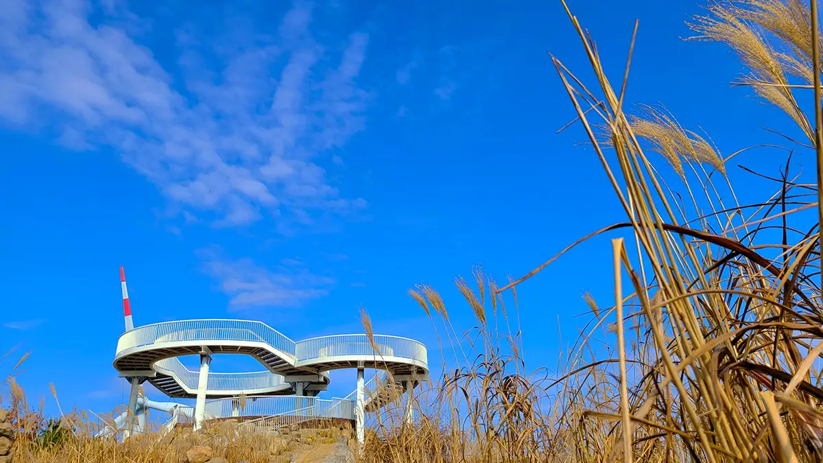 거창 감악산 억새 거창 감악산 억새