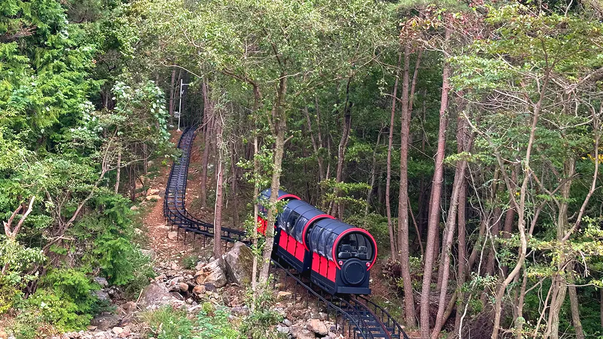 거제 숲소리공원 모노레일