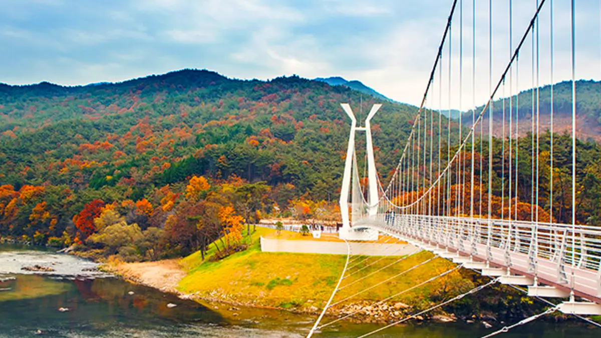 대황강 출렁다리 가을