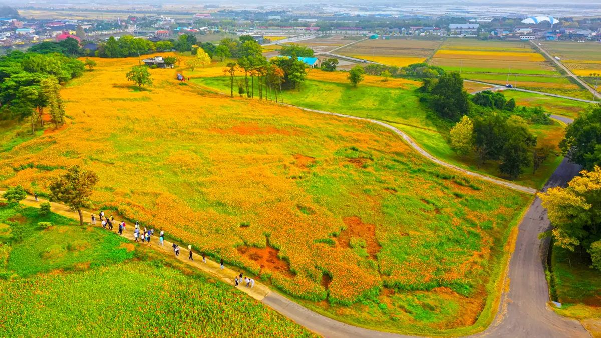 곡성 동화정원 전경