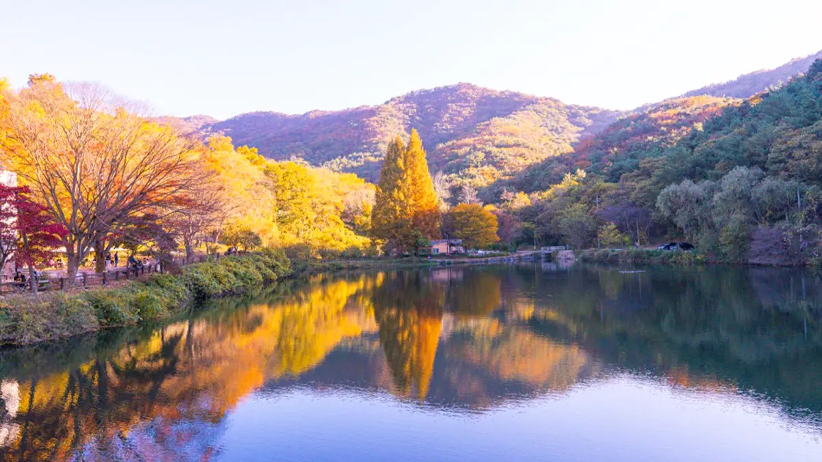 불장골저수지 풍경