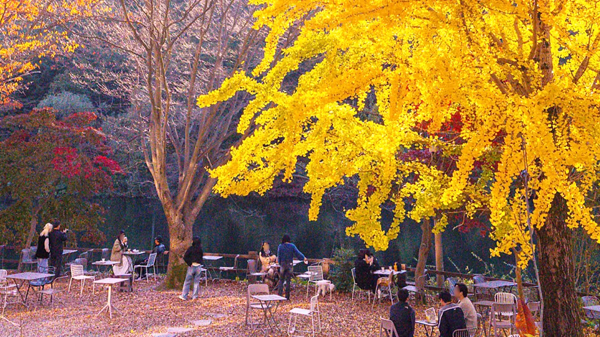 불장골저수지 단풍 구경