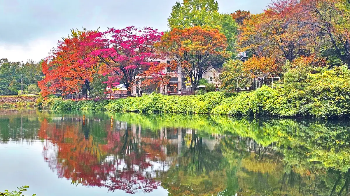 불장골저수지 가을 단풍