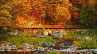 공주 마곡사 가을산책