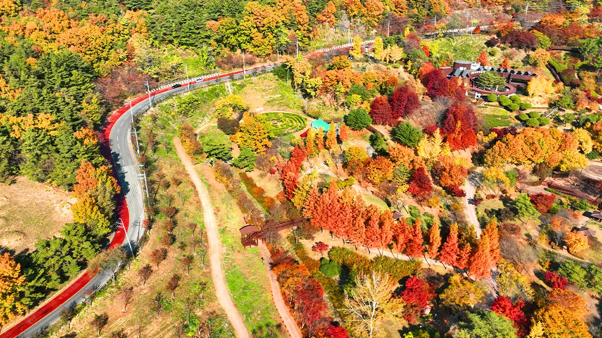 대가야수목원 가을 전경 대가야수목원 가을 전경