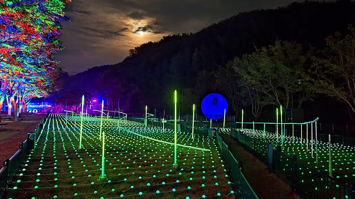 대가야빛의숲 대가야빛의숲